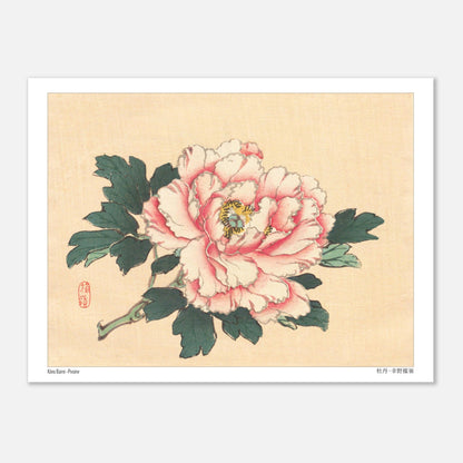 Planche Botanique Ancienne : Pivoine Rose par Kōno Bairei (15x20 cm). Illustration botanique de Kōno Bairei d'une pivoine rose avec des feuilles vertes, sur fond beige.
