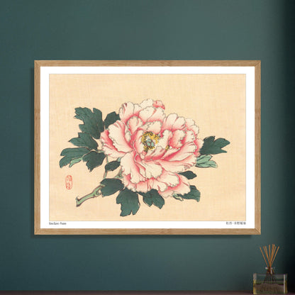 Planche Botanique Ancienne : Pivoine Rose par Kōno Bairei. Illustration botanique de Kōno Bairei d'une pivoine rose avec des feuilles vertes, sur fond beige. Image d'illustration 5