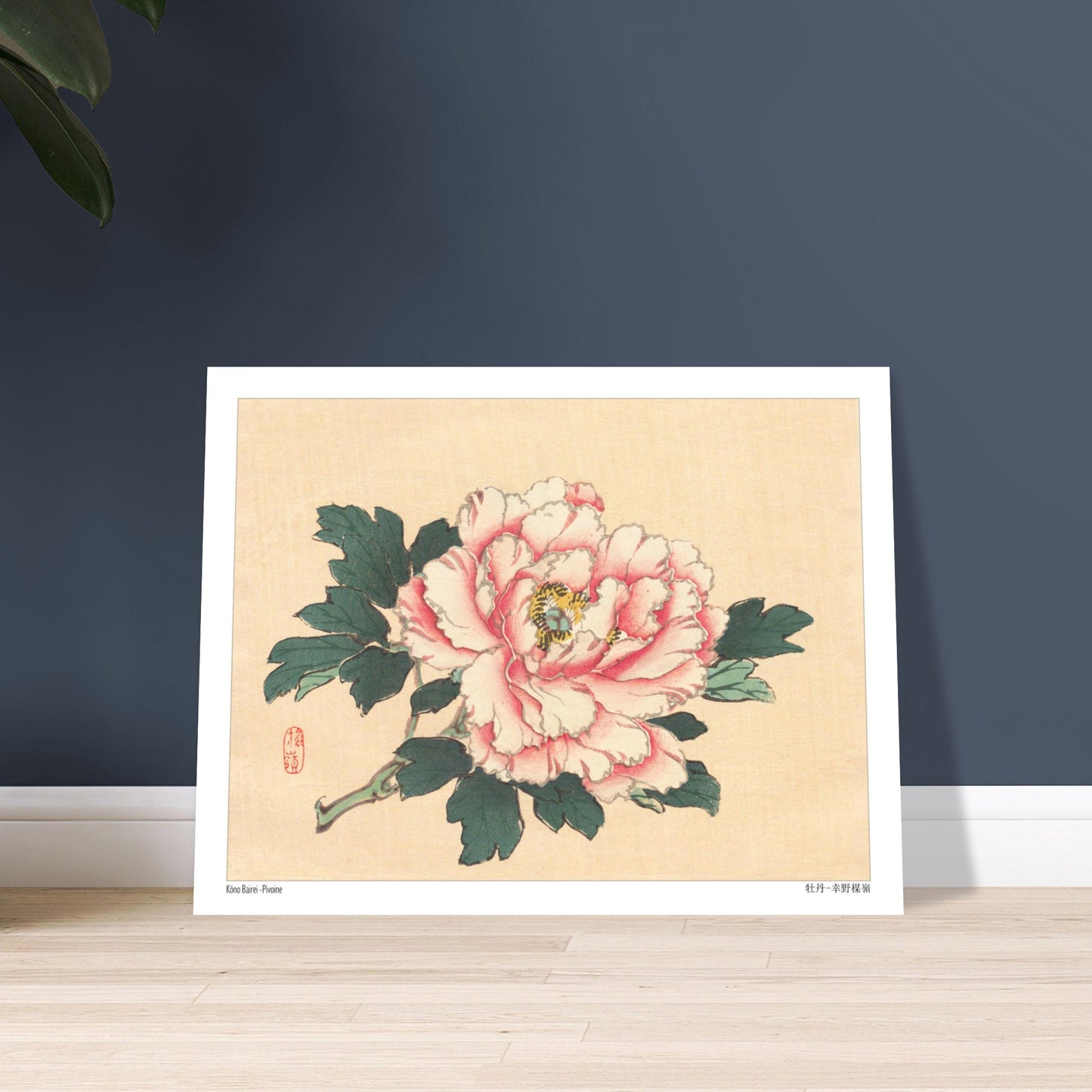 Planche Botanique Ancienne : Pivoine Rose par Kōno Bairei. Illustration botanique de Kōno Bairei d'une pivoine rose avec des feuilles vertes, sur fond beige. Image d'illustration 6