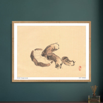Illustration Naturaliste d'un Champignon Matsutake par Kōno Bairei. Illustration naturaliste d'un champignon matsutake avec des lamelles apparentes. Image d'illustration 5