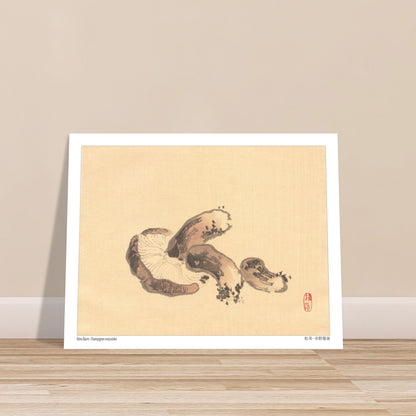 Illustration Naturaliste d'un Champignon Matsutake par Kōno Bairei. Illustration naturaliste d'un champignon matsutake avec des lamelles apparentes. Image d'illustration 6