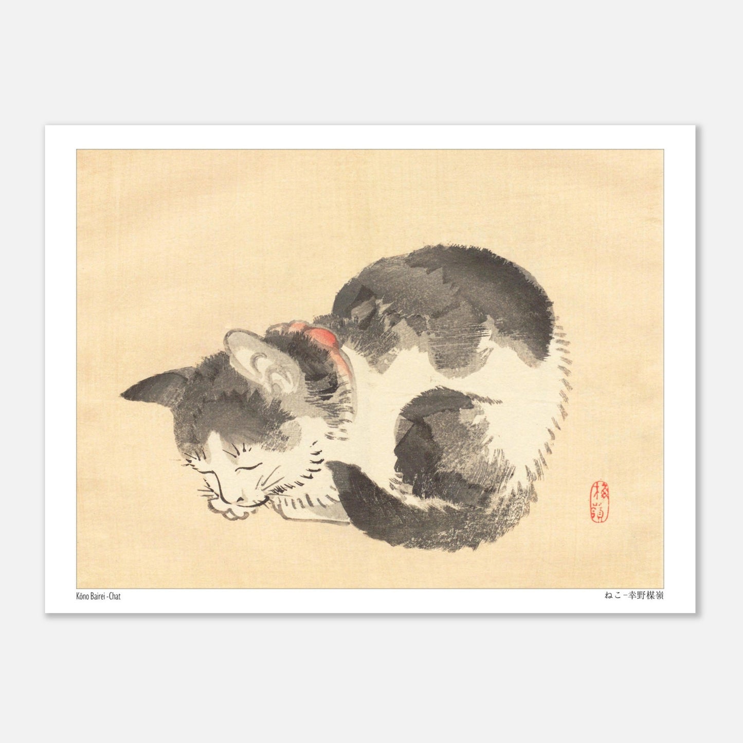 Illustration ancienne : Chat endormi par Kōno Bairei (15x20 cm). Une illustration d'un chat domestique endormi enroulé sur lui-même, dans le style de Kōno Bairei.
