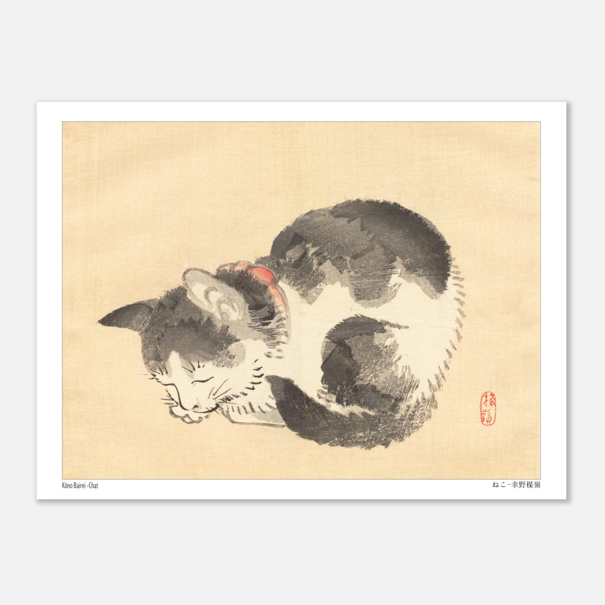 Illustration ancienne : Chat endormi par Kōno Bairei (15x20 cm). Une illustration d'un chat domestique endormi enroulé sur lui-même, dans le style de Kōno Bairei.