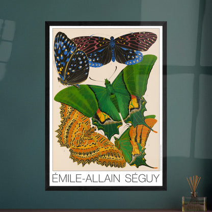 Illustration d'Émile-Allain Séguy : des papillons exotiques. Illustration de l'artiste Émile-Allain Séguy représentant plusieurs papillons exotiques aux ailes colorées. Image d'illustration 7