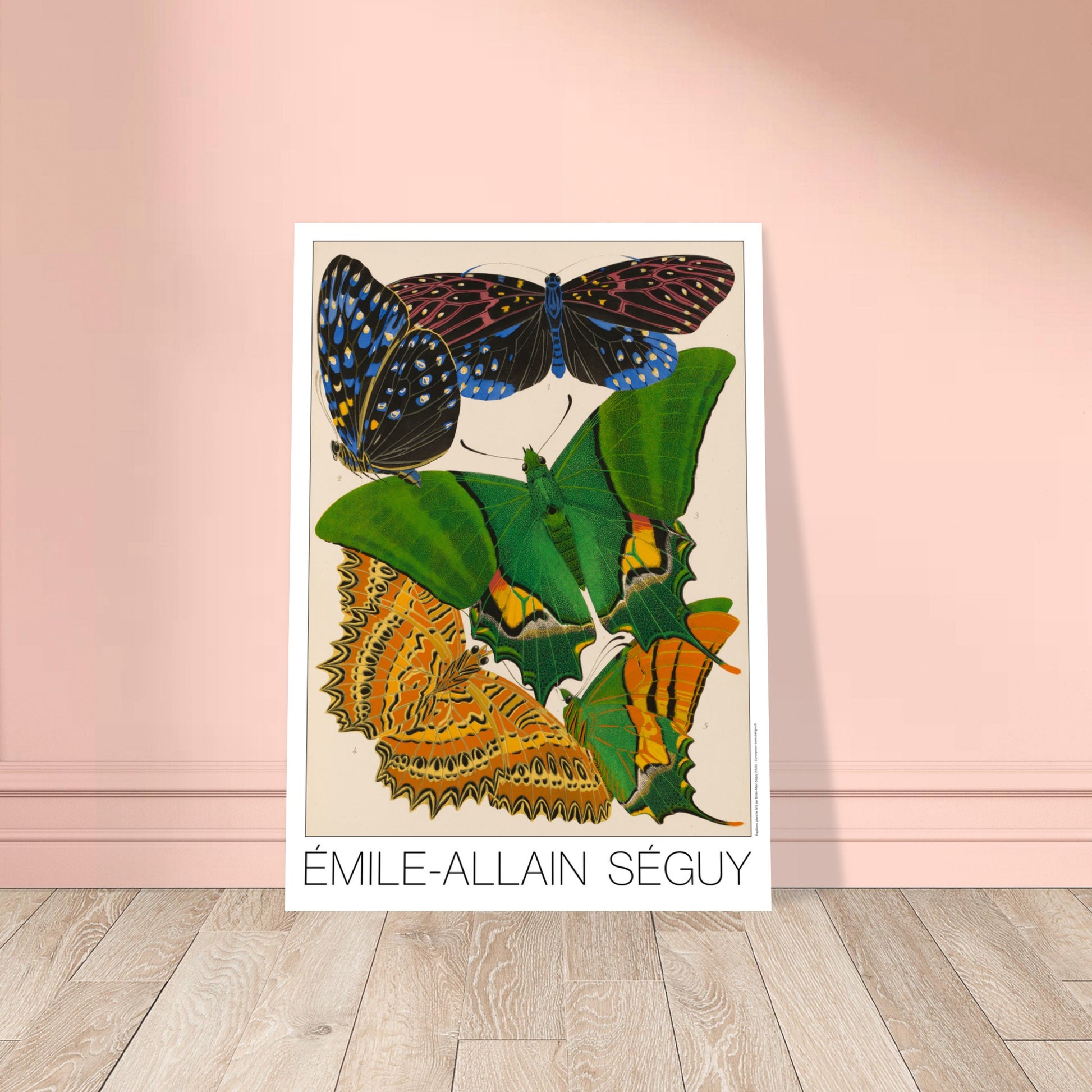 Illustration d'Émile-Allain Séguy : des papillons exotiques. Illustration de l'artiste Émile-Allain Séguy représentant plusieurs papillons exotiques aux ailes colorées. Image d'illustration 8