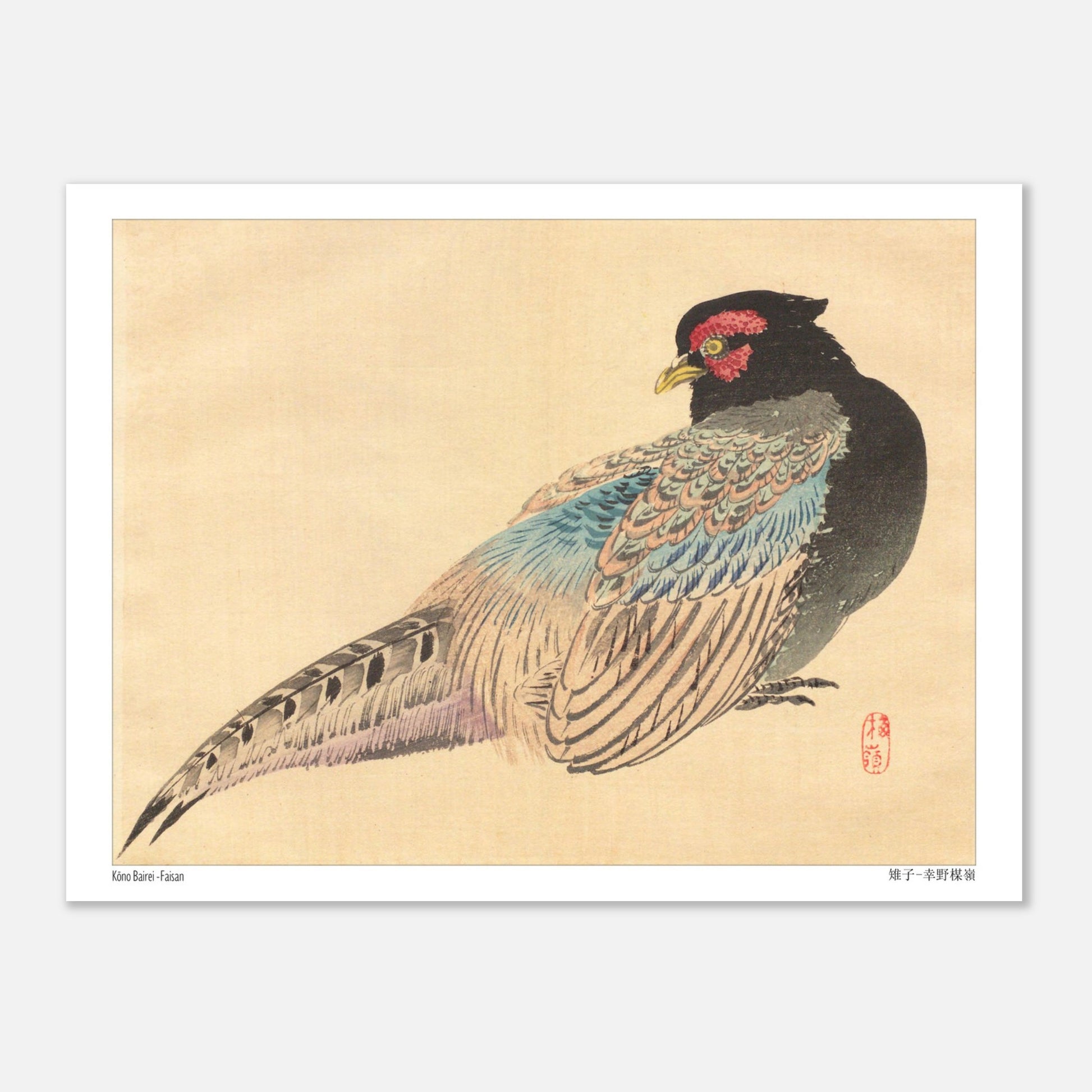 Illustration naturaliste d'un Faisan, estampe de Kōno Bairei (15x20 cm). Une illustration naturaliste de Kōno Bairei représentant un faisan.