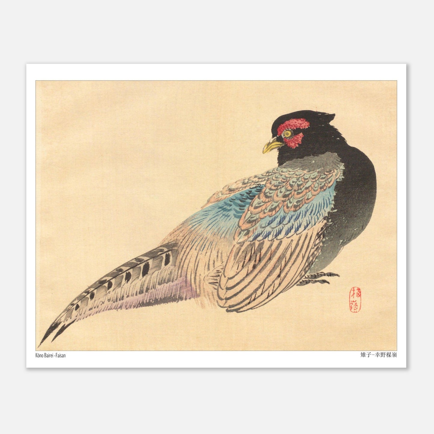Illustration naturaliste d'un Faisan, estampe de Kōno Bairei (20x25 cm). Une illustration naturaliste de Kōno Bairei représentant un faisan.