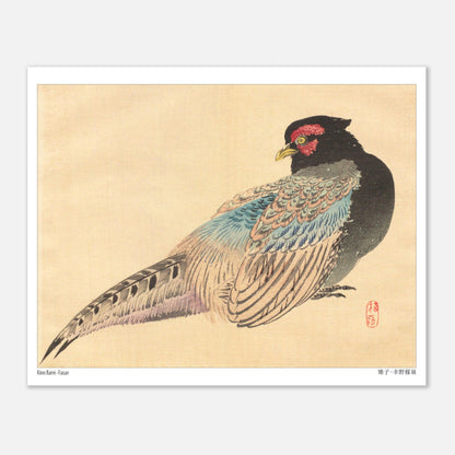 Illustration naturaliste d'un Faisan, estampe de Kōno Bairei (20x25 cm). Une illustration naturaliste de Kōno Bairei représentant un faisan.