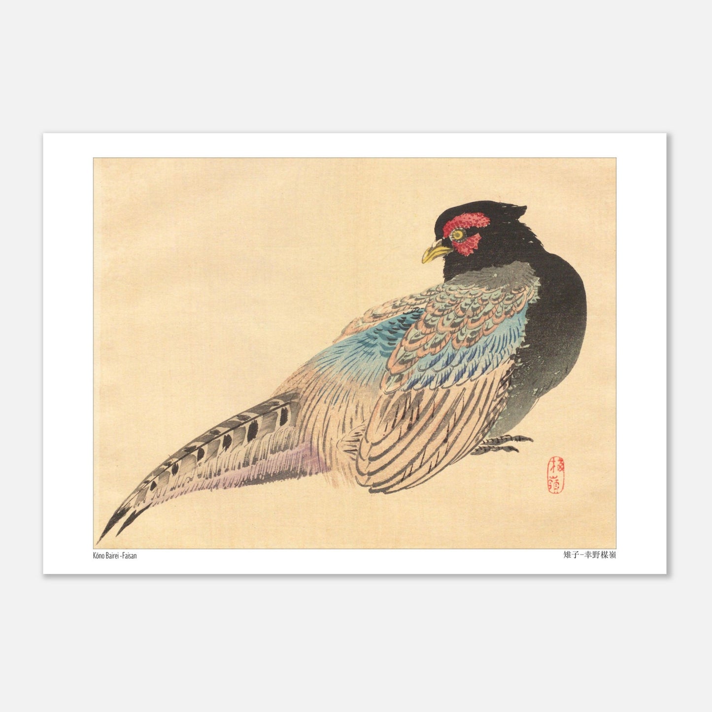 Illustration naturaliste d'un Faisan, estampe de Kōno Bairei (21x29,7 cm (A4)). Une illustration naturaliste de Kōno Bairei représentant un faisan.