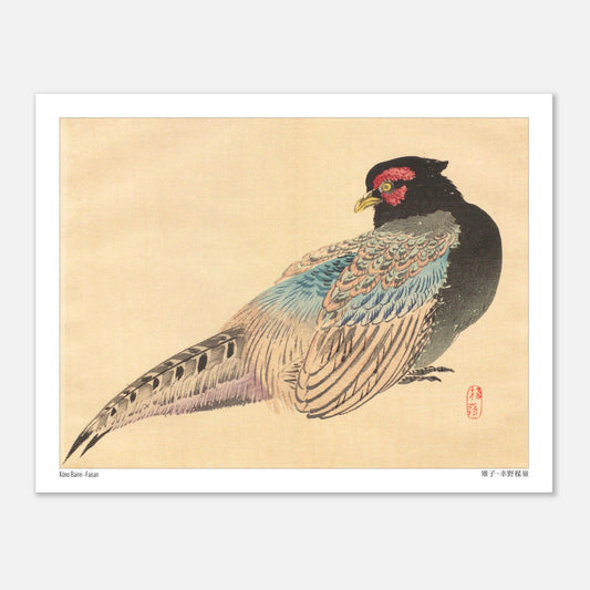 Illustration naturaliste d'un Faisan, estampe de Kōno Bairei (27x35 cm). Une illustration naturaliste de Kōno Bairei représentant un faisan.