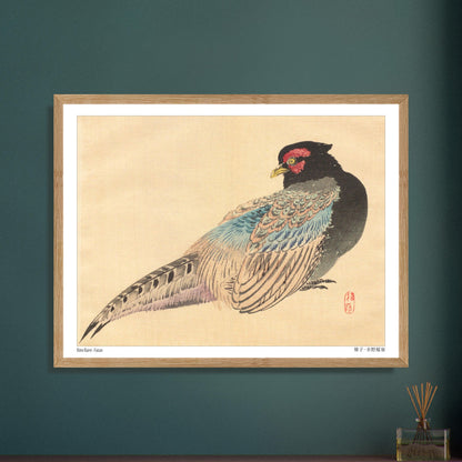 Illustration naturaliste d'un Faisan, estampe de Kōno Bairei. Une illustration naturaliste de Kōno Bairei représentant un faisan. Image d'illustration 6