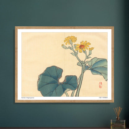 Illustration Botanique du Farfugium Japonicum par Kōno Bairei. Illustration japonaise d'une plante avec de grandes feuilles vertes et des fleurs jaunes. Image d'illustration 5