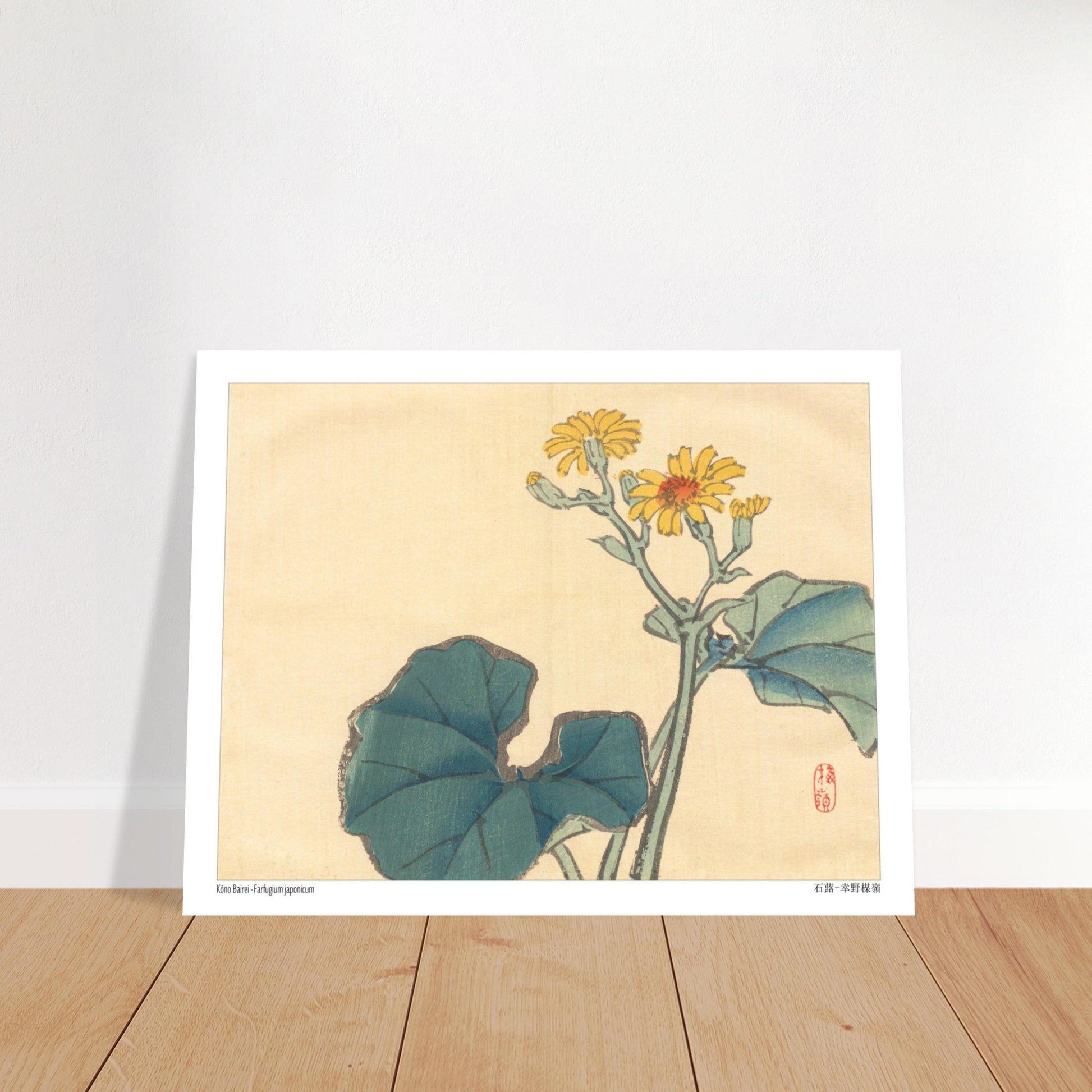 Illustration Botanique du Farfugium Japonicum par Kōno Bairei. Illustration japonaise d'une plante avec de grandes feuilles vertes et des fleurs jaunes. Image d'illustration 6