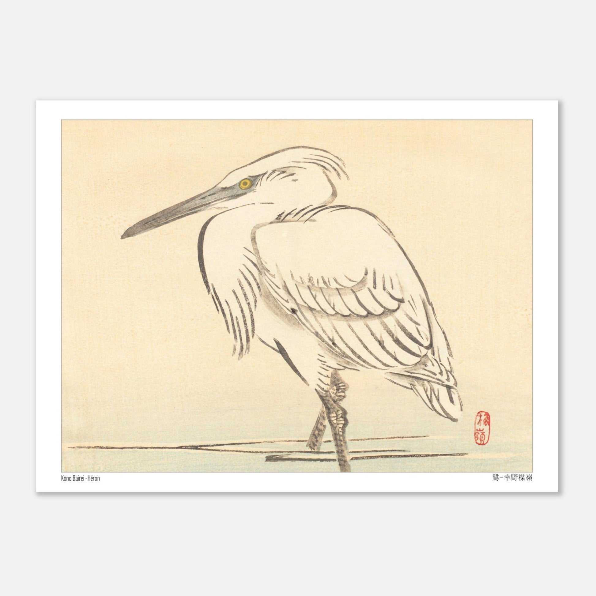 Illustration naturaliste d'un héron blanc par l'artiste japonais Kōno Bairei (15x20 cm). Une peinture d'un héron blanc aux yeux jaunes, debout dans l'eau peu profonde, dans le style de Kōno Bairei.