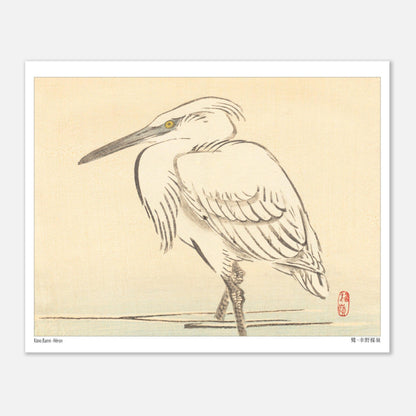 Illustration naturaliste d'un héron blanc par l'artiste japonais Kōno Bairei (20x25 cm). Une peinture d'un héron blanc aux yeux jaunes, debout dans l'eau peu profonde, dans le style de Kōno Bairei.