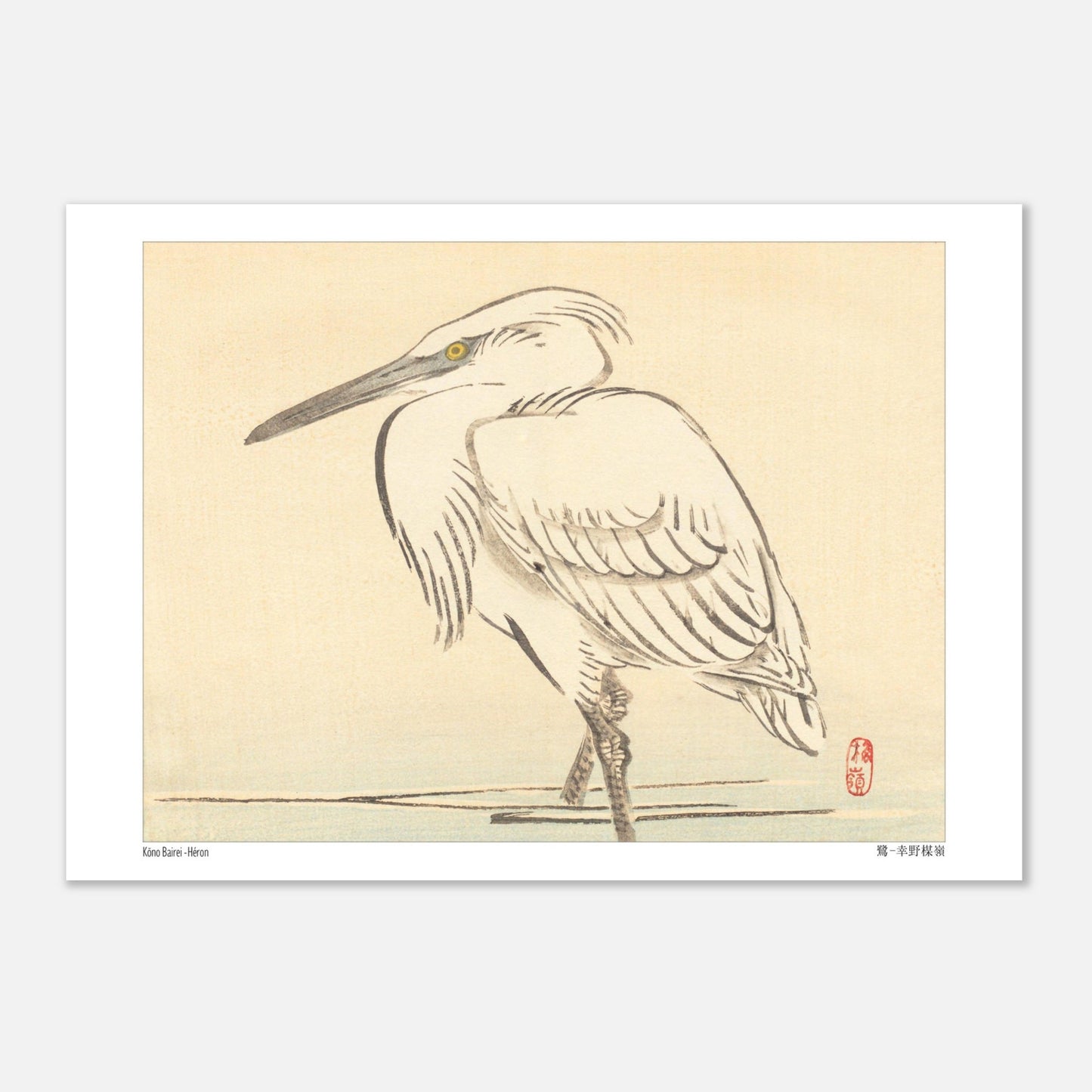 Illustration naturaliste d'un héron blanc par l'artiste japonais Kōno Bairei (21x29,7 cm (A4)). Une peinture d'un héron blanc aux yeux jaunes, debout dans l'eau peu profonde, dans le style de Kōno Bairei.