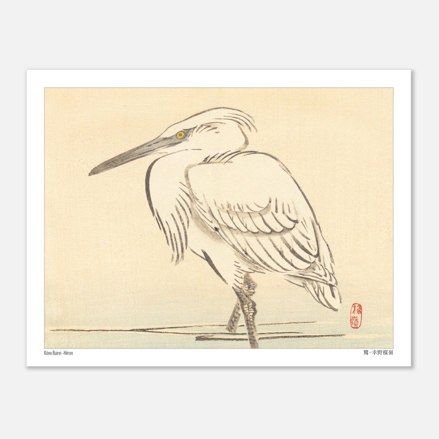 Illustration naturaliste d'un héron blanc par l'artiste japonais Kōno Bairei (27x35 cm). Une peinture d'un héron blanc aux yeux jaunes, debout dans l'eau peu profonde, dans le style de Kōno Bairei.