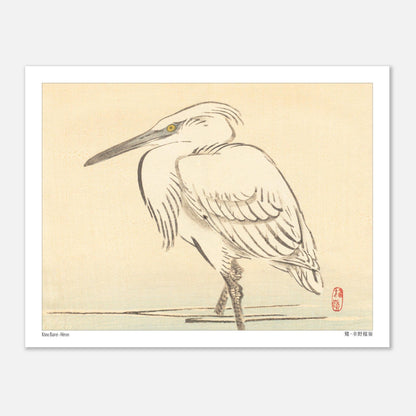 Illustration naturaliste d'un héron blanc par l'artiste japonais Kōno Bairei (27x35 cm). Une peinture d'un héron blanc aux yeux jaunes, debout dans l'eau peu profonde, dans le style de Kōno Bairei.