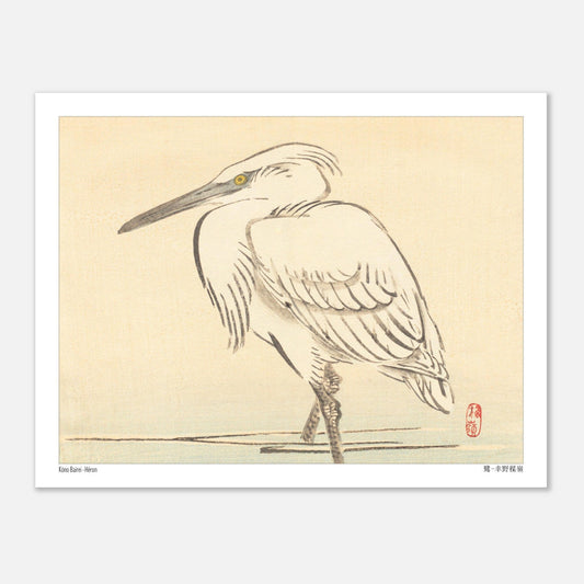 Illustration naturaliste d'un héron blanc par l'artiste japonais Kōno Bairei (27x35 cm). Une peinture d'un héron blanc aux yeux jaunes, debout dans l'eau peu profonde, dans le style de Kōno Bairei.