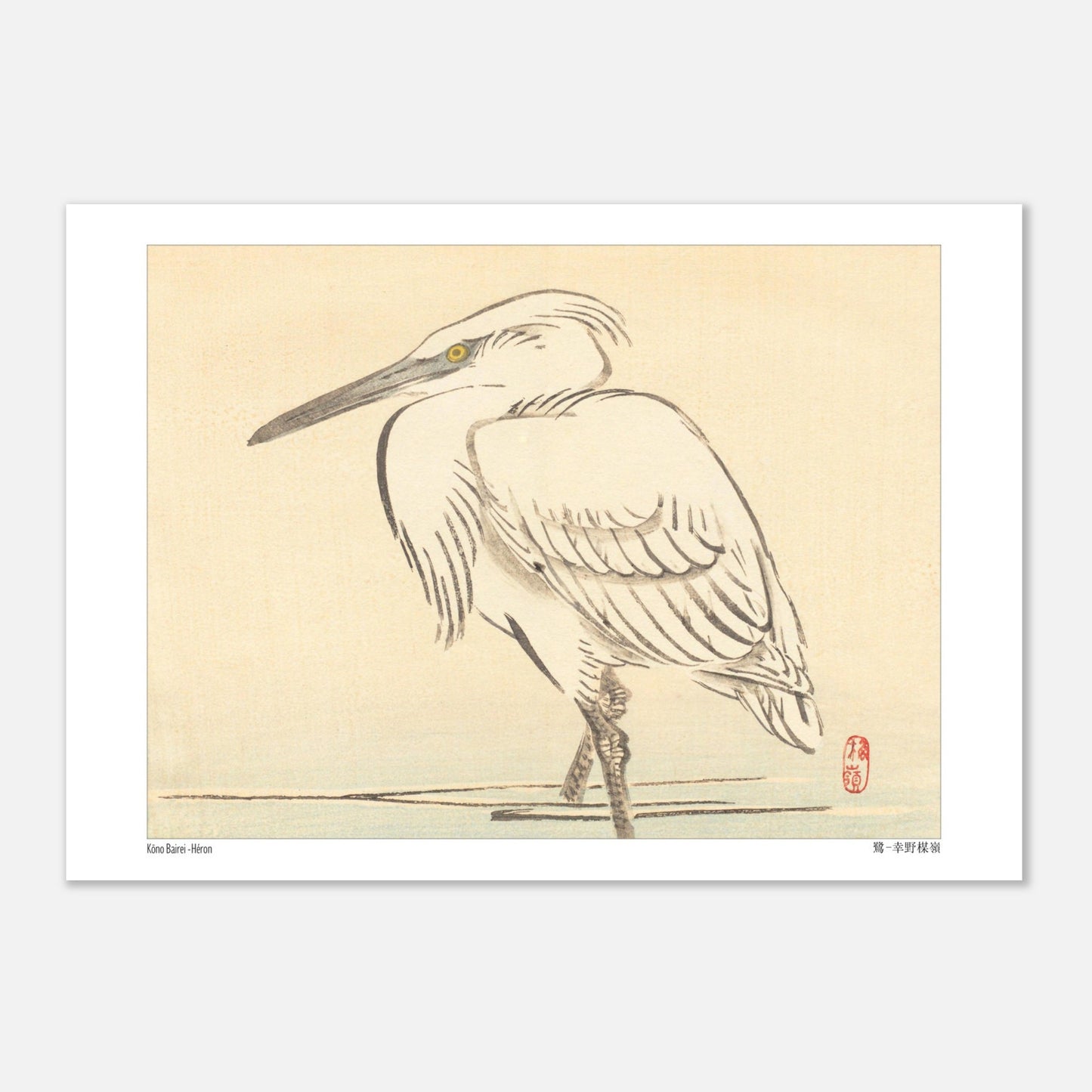 Illustration naturaliste d'un héron blanc par l'artiste japonais Kōno Bairei (29,7x42 cm (A3)). Une peinture d'un héron blanc aux yeux jaunes, debout dans l'eau peu profonde, dans le style de Kōno Bairei.