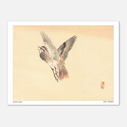 Illustration d'une Alouette en vol, estampe japonaise de Kōno Bairei (15x20 cm). Illustration d'une alouette de Kōno Bairei en plein vol, aux plumes brunes et grises, sur fond beige.