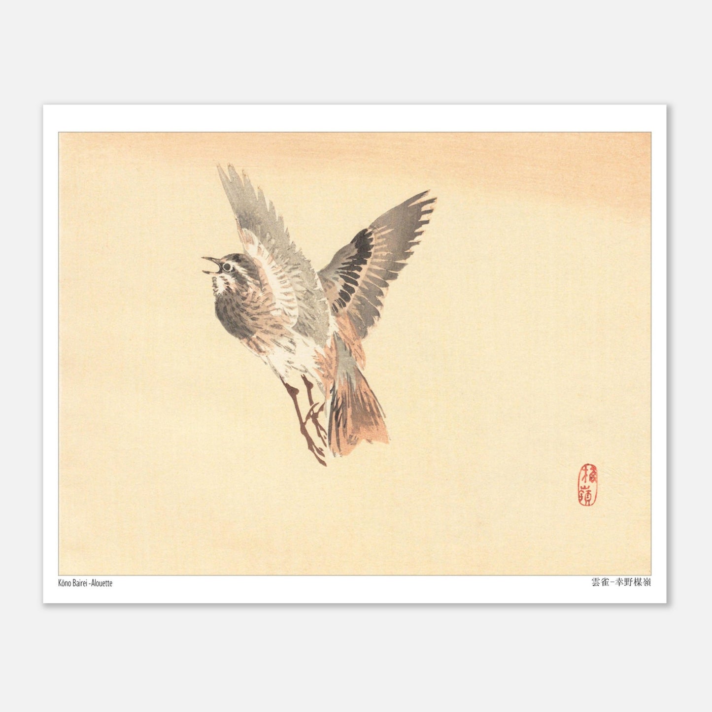 Illustration d'une Alouette en vol, estampe japonaise de Kōno Bairei (20x25 cm). Illustration d'une alouette de Kōno Bairei en plein vol, aux plumes brunes et grises, sur fond beige.