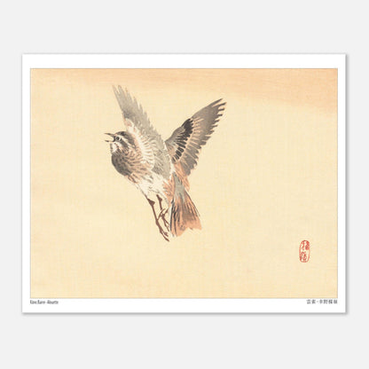 Illustration d'une Alouette en vol, estampe japonaise de Kōno Bairei (20x25 cm). Illustration d'une alouette de Kōno Bairei en plein vol, aux plumes brunes et grises, sur fond beige.