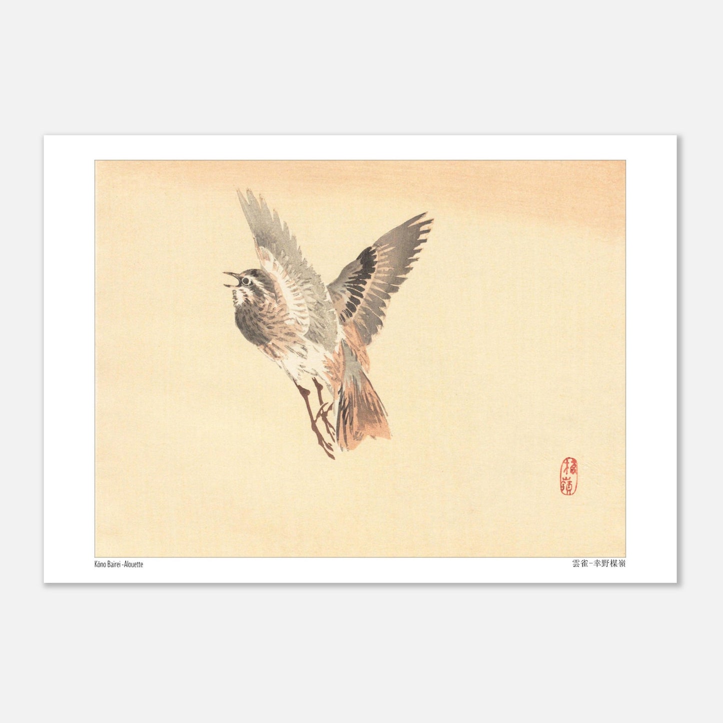 Illustration d'une Alouette en vol, estampe japonaise de Kōno Bairei (21x29,7 cm (A4)). Illustration d'une alouette de Kōno Bairei en plein vol, aux plumes brunes et grises, sur fond beige.