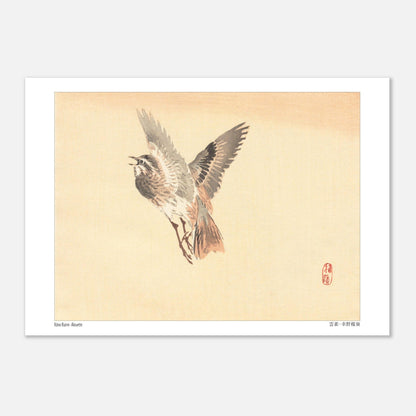Illustration d'une Alouette en vol, estampe japonaise de Kōno Bairei (21x29,7 cm (A4)). Illustration d'une alouette de Kōno Bairei en plein vol, aux plumes brunes et grises, sur fond beige.