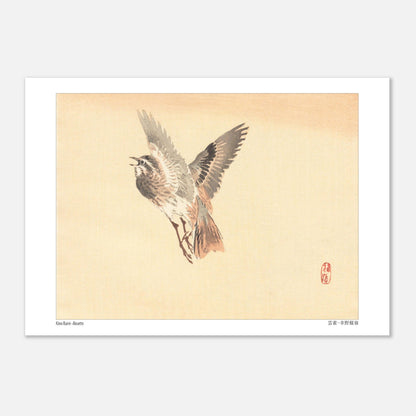 Illustration d'une Alouette en vol, estampe japonaise de Kōno Bairei (29,7x42 cm (A3)). Illustration d'une alouette de Kōno Bairei en plein vol, aux plumes brunes et grises, sur fond beige.