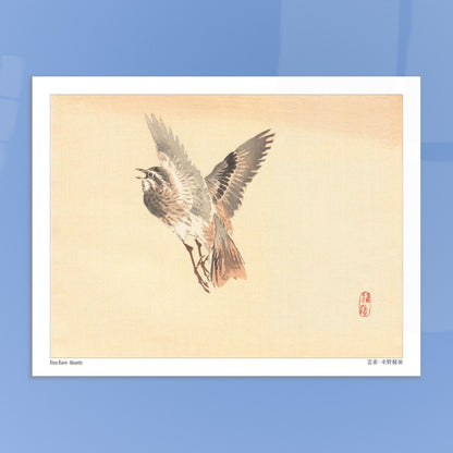Illustration d'une Alouette en vol, estampe japonaise de Kōno Bairei. Illustration d'une alouette de Kōno Bairei en plein vol, aux plumes brunes et grises, sur fond beige. Image d'illustration 5