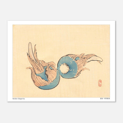 Châtaigne d'eau (Jiko), illustration japonaise par Kōno Bairei (15x20 cm). Illustration japonaise ancienne représentant deux châtaignes d'eau bleues sur fond beige.