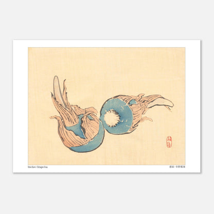 Châtaigne d'eau (Jiko), illustration japonaise par Kōno Bairei (21x29,7 cm (A4)). Illustration japonaise ancienne représentant deux châtaignes d'eau bleues sur fond beige.
