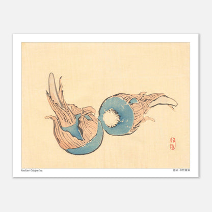 Châtaigne d'eau (Jiko), illustration japonaise par Kōno Bairei (27x35 cm). Illustration japonaise ancienne représentant deux châtaignes d'eau bleues sur fond beige.