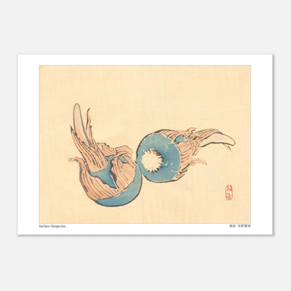 Châtaigne d'eau (Jiko), illustration japonaise par Kōno Bairei (29,7x42 cm (A3)). Illustration japonaise ancienne représentant deux châtaignes d'eau bleues sur fond beige.