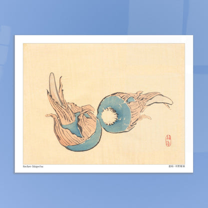 Châtaigne d'eau (Jiko), illustration japonaise par Kōno Bairei. Illustration japonaise ancienne représentant deux châtaignes d'eau bleues sur fond beige. Image d'illustration 5