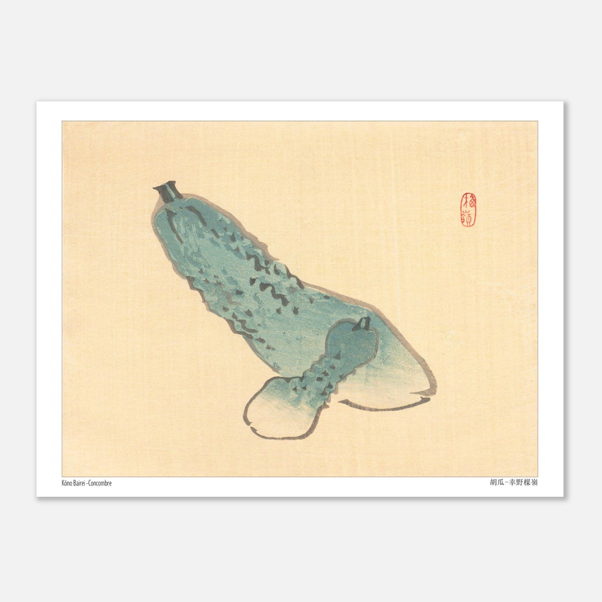 Illustration botanique de Concombre (Kyūri) par Kōno Bairei (15x20 cm). Illustration japonaise ancienne d'un concombre bleuâtre avec des bosses, sur fond beige.