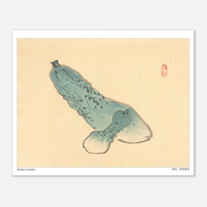 Illustration botanique de Concombre (Kyūri) par Kōno Bairei (20x25 cm). Illustration japonaise ancienne d'un concombre bleuâtre avec des bosses, sur fond beige.