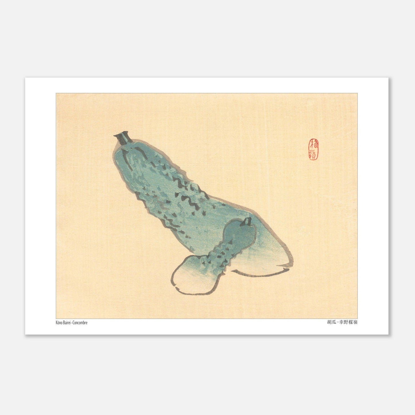 Illustration botanique de Concombre (Kyūri) par Kōno Bairei (29,7x42 cm (A3)). Illustration japonaise ancienne d'un concombre bleuâtre avec des bosses, sur fond beige.