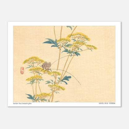 Illustration naturaliste japonaise : Fleurs d'ominaeshi et grillons par Kōno Bairei (15x20 cm). Estampe japonaise représentant des fleurs d'ominaeshi jaunes avec des feuilles vertes et deux insectes ressemblant à des grillons, avec un sceau rouge.