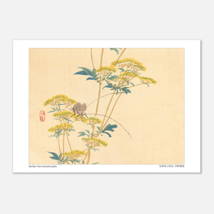 Illustration naturaliste japonaise : Fleurs d'ominaeshi et grillons par Kōno Bairei (29,7x42 cm (A3)). Estampe japonaise représentant des fleurs d'ominaeshi jaunes avec des feuilles vertes et deux insectes ressemblant à des grillons, avec un sceau rouge.