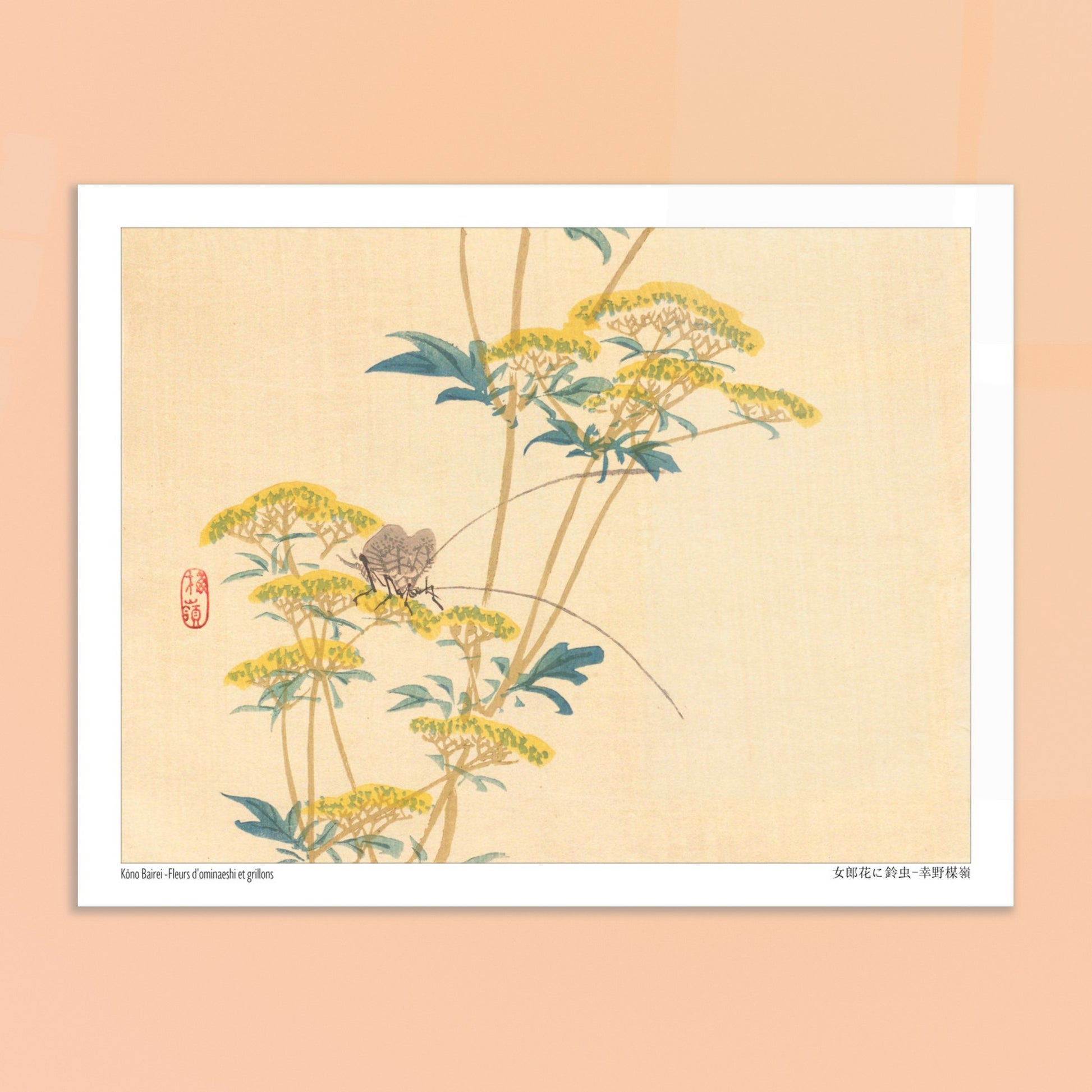 Illustration naturaliste japonaise : Fleurs d'ominaeshi et grillons par Kōno Bairei. Estampe japonaise représentant des fleurs d'ominaeshi jaunes avec des feuilles vertes et deux insectes ressemblant à des grillons, avec un sceau rouge. Image d'illustration 6