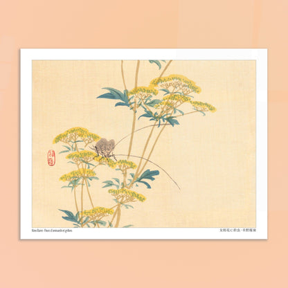 Illustration naturaliste japonaise : Fleurs d'ominaeshi et grillons par Kōno Bairei. Estampe japonaise représentant des fleurs d'ominaeshi jaunes avec des feuilles vertes et deux insectes ressemblant à des grillons, avec un sceau rouge. Image d'illustration 6