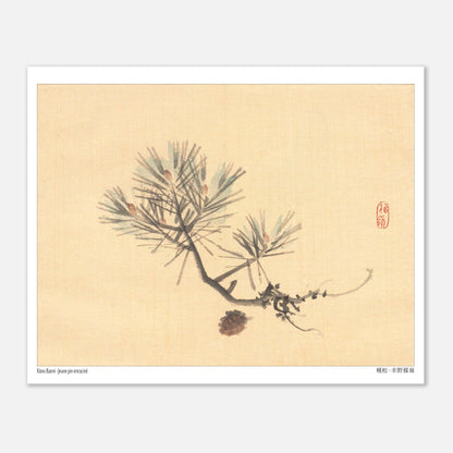 Illustration d'une Branche de Pin Japonais par Kōno Bairei (20x25 cm). Illustration naturaliste d'une branche de pin avec des pommes de pin sur fond jaune pâle, signée Kōno Bairei.