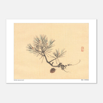 Illustration d'une Branche de Pin Japonais par Kōno Bairei (29,7x42 cm (A3)). Illustration naturaliste d'une branche de pin avec des pommes de pin sur fond jaune pâle, signée Kōno Bairei.