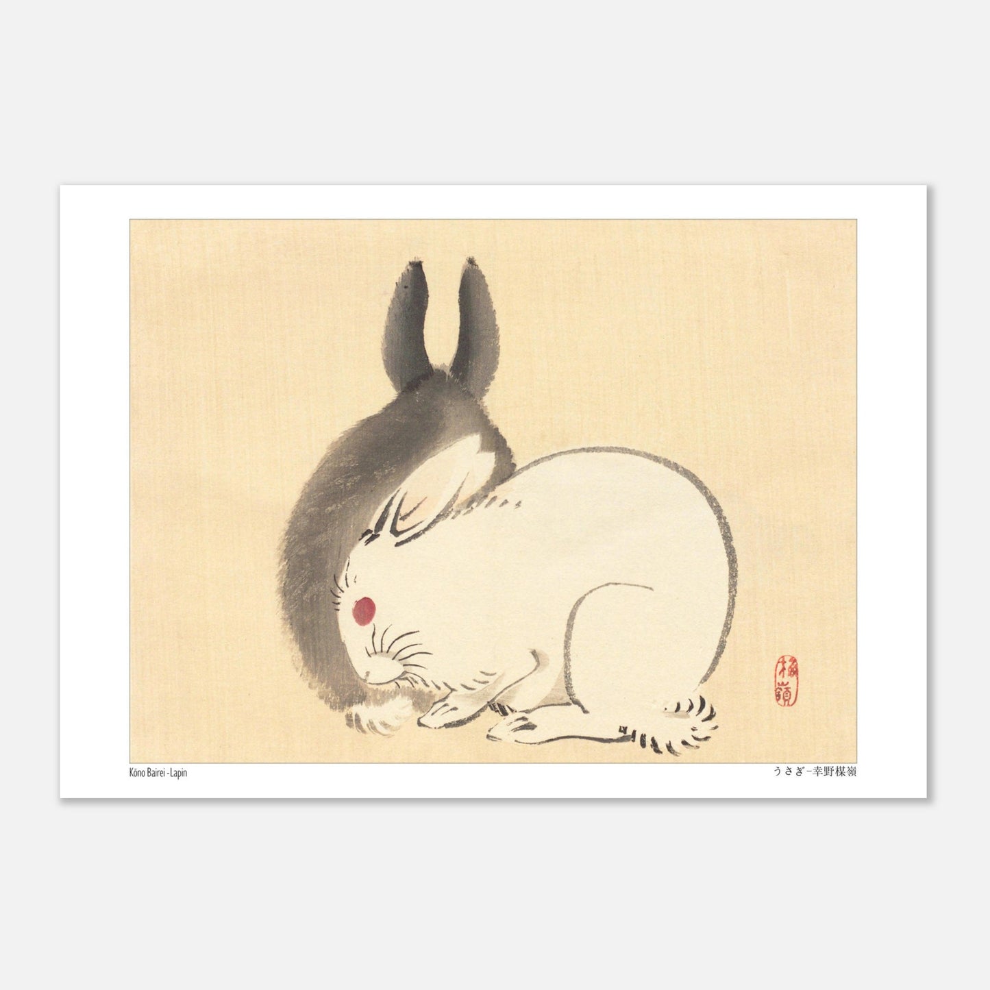 Illustration d'un lapin blanc par l'artiste japonais Kōno Bairei (21x29,7 cm (A4)). Une peinture d'un lapin blanc aux yeux rouges et d'une ombre de lapin noir, dans le style de Kōno Bairei.