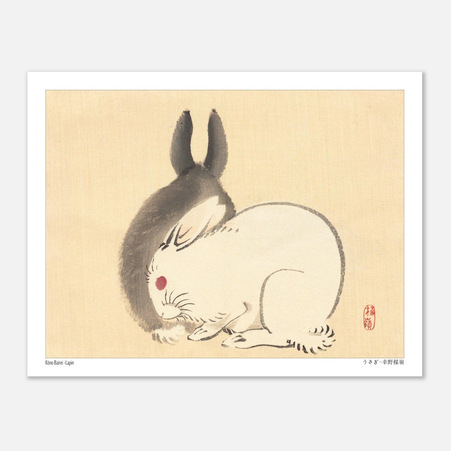 Illustration d'un lapin blanc par l'artiste japonais Kōno Bairei (27x35 cm). Une peinture d'un lapin blanc aux yeux rouges et d'une ombre de lapin noir, dans le style de Kōno Bairei.