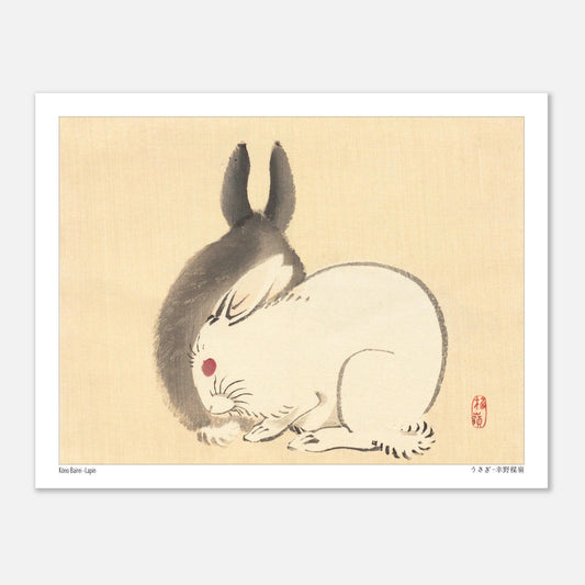 Illustration d'un lapin blanc par l'artiste japonais Kōno Bairei (27x35 cm). Une peinture d'un lapin blanc aux yeux rouges et d'une ombre de lapin noir, dans le style de Kōno Bairei.