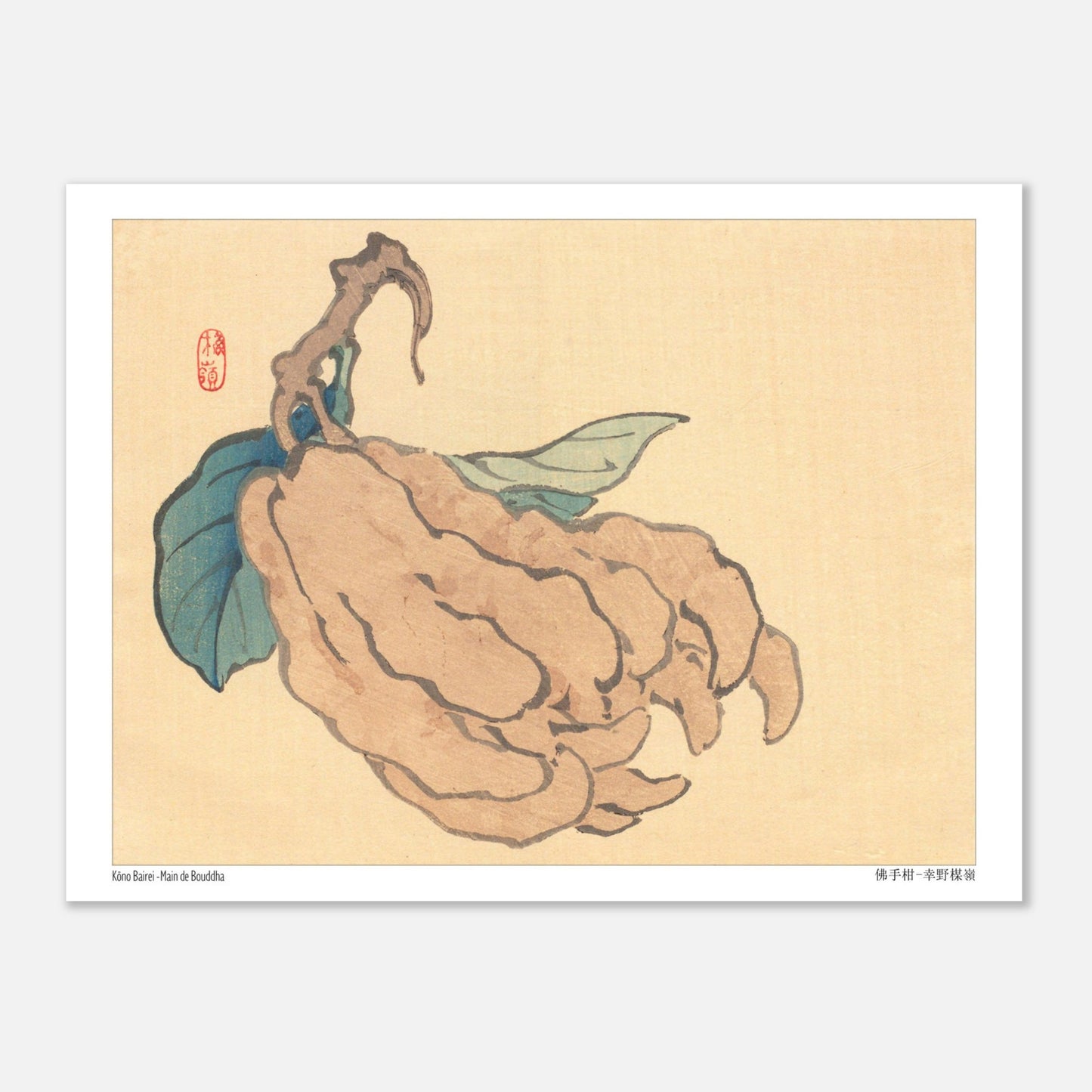 Illustration du Cédrat Main de Bouddha par Kōno Bairei (15x20 cm). Illustration naturaliste d'un fruit de type 'Main de Bouddha' avec des feuilles bleues, sur fond jaune pâle, par Kōno Bairei.