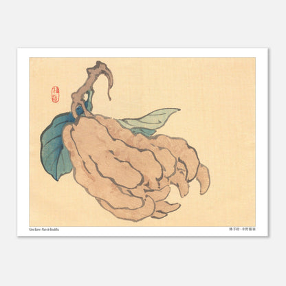 Illustration du Cédrat Main de Bouddha par Kōno Bairei (15x20 cm). Illustration naturaliste d'un fruit de type 'Main de Bouddha' avec des feuilles bleues, sur fond jaune pâle, par Kōno Bairei.